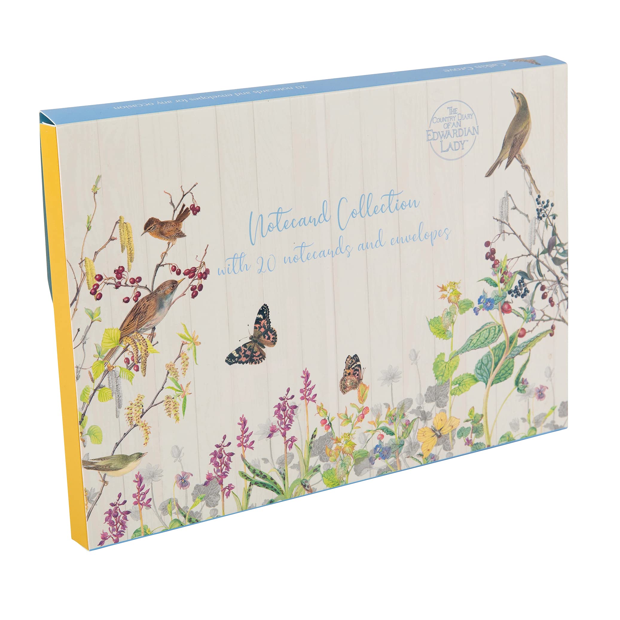 Gifted Stationery Catkin Grove 20 Notecards & Envelopes Set Notelet Cards