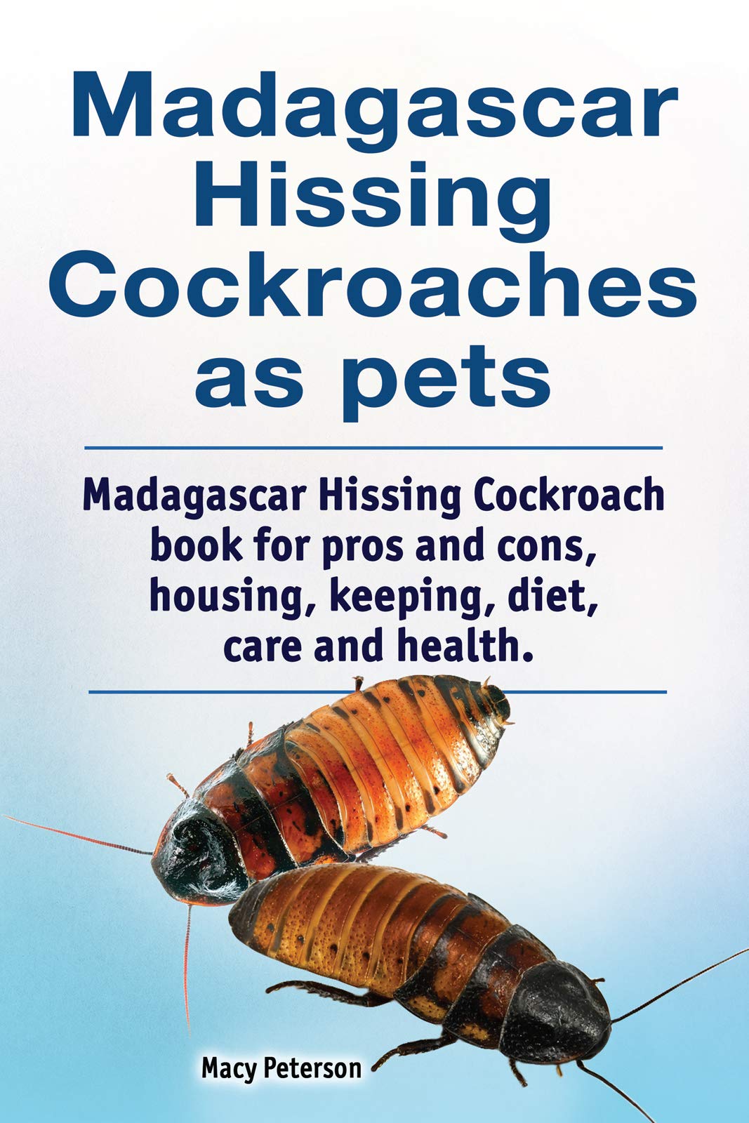 Buy Madacar hissing cockroaches as pets. Madacar hissing cockroach book