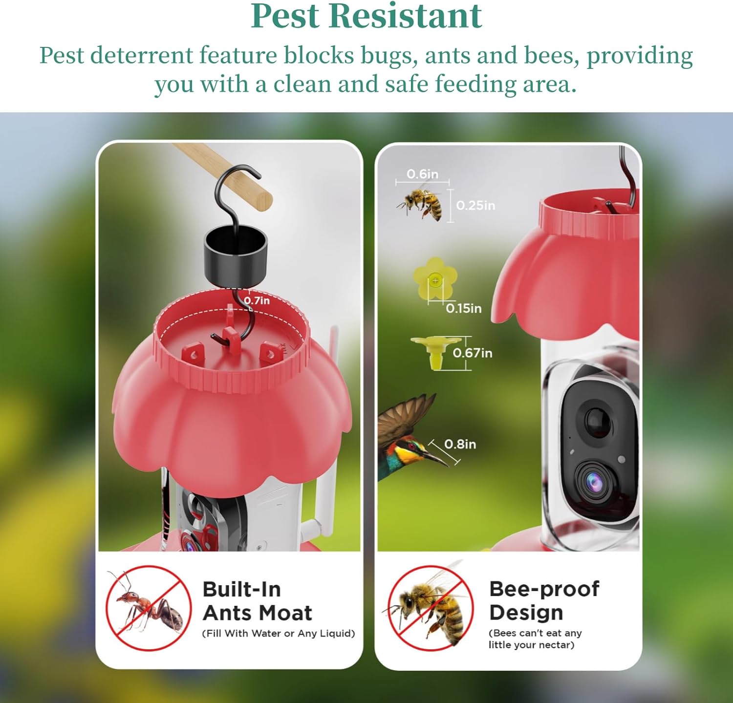 Bird Feeder Camera, 1080P HD 160° Wide Angle Cam, Over 10000 Birds Identify, Loop Recording Outdoor Solar Powered Camera, Gift for Bird Lover