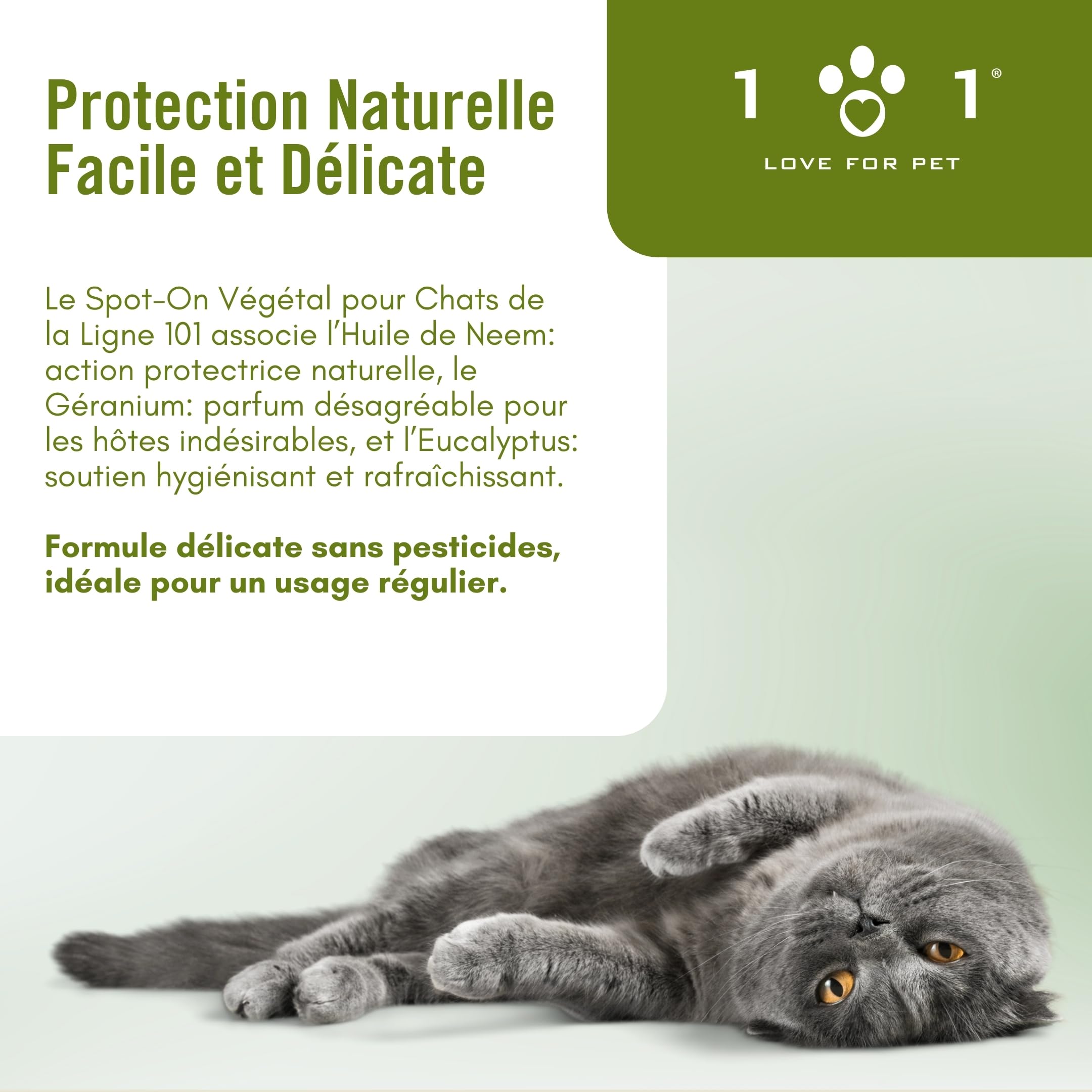 Pipette Chat Anti Puces et Tiques, Moustique 6 Ampoules de 0,5 ML Spot on Chatons et Adultes Traitement Anti Puce Chaton et Antiparasitaire Chat Naturel Application Facile, Longue Tenue Antipuce