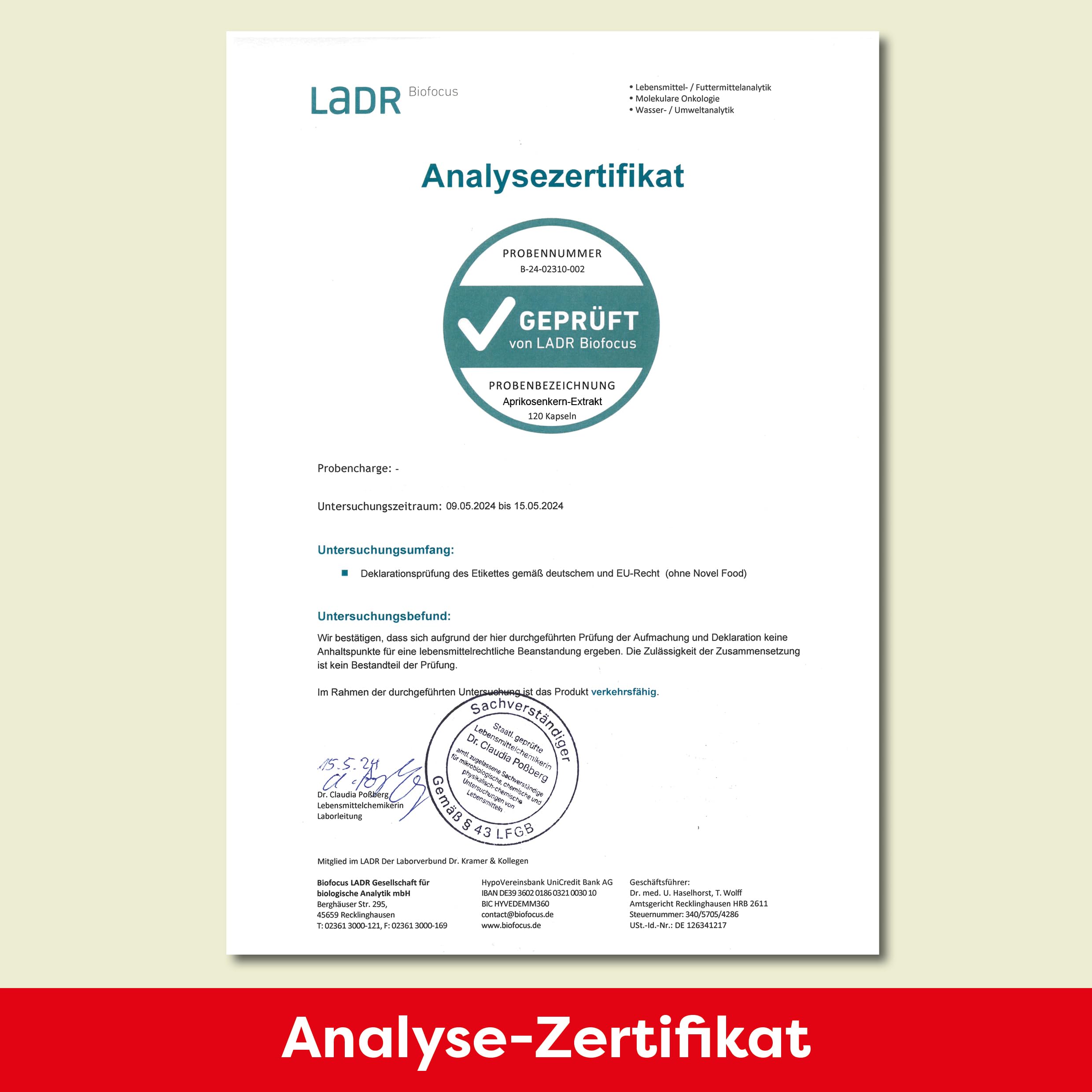 Aprikosenkern Extrakt 1000 mg (120 Kapseln) – Hochdosierter 5:1 Extrakt ohne Bitterstoffe | Mit natürlichem Vitamin C (Acerola) | Laborgeprüft & sicher | Vegan & rein