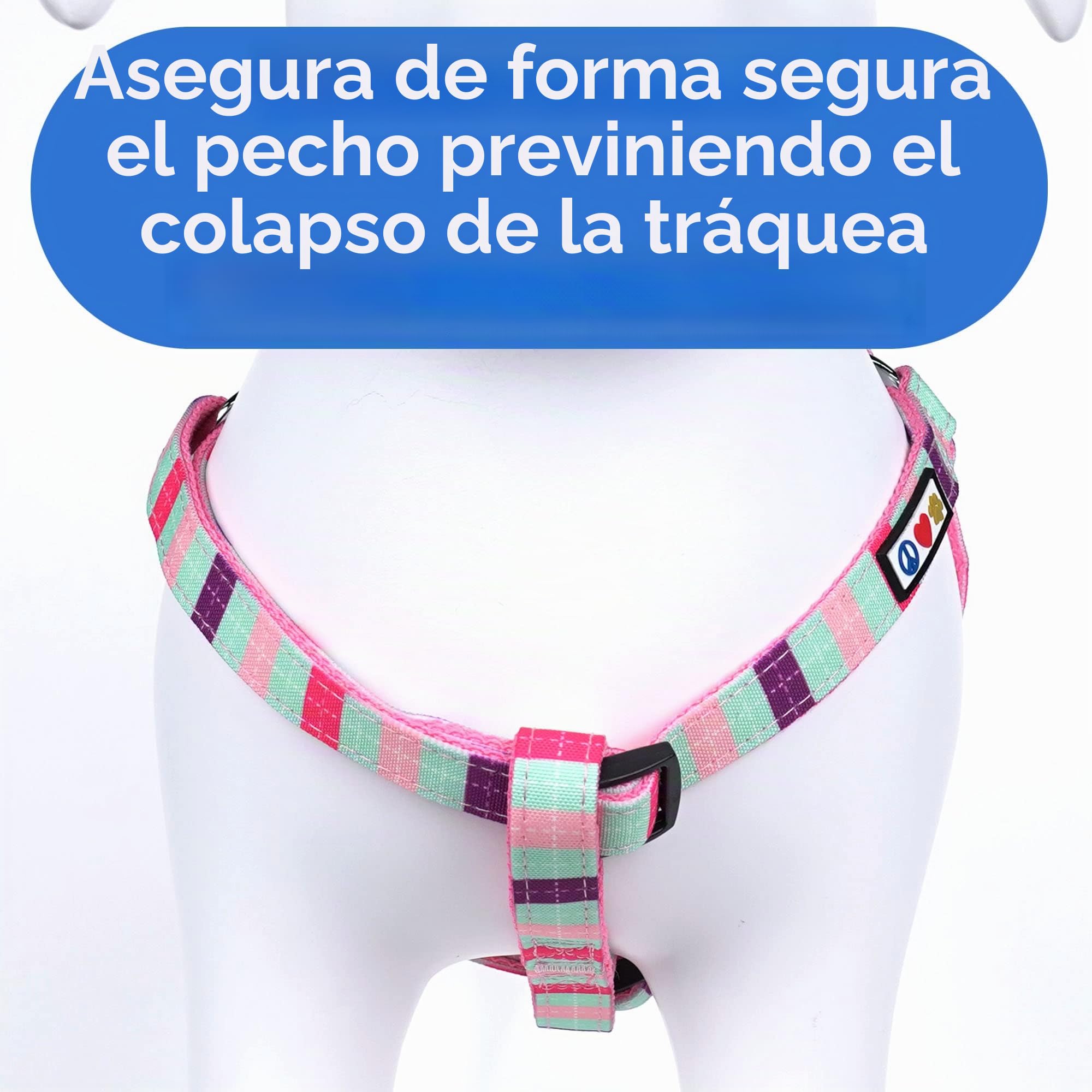 Pawtitas Arnés para Perros pequeños arnés Ajustable antitirones para Perros de Color sólido Ligero Turquesa Rosa/púrpura