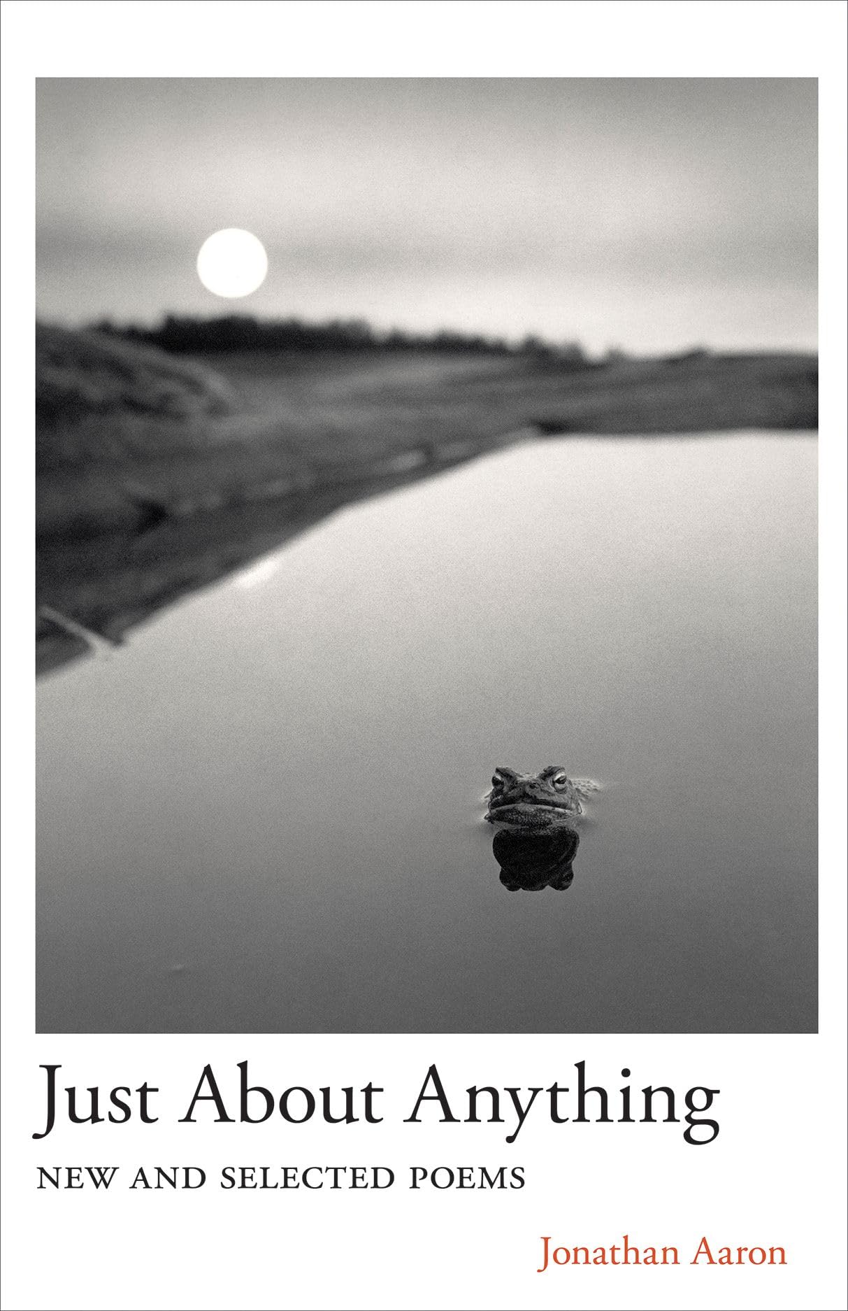 Just About Anything : New and Selected Poems