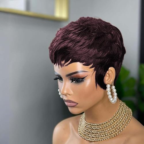 QiaQiaRing Pixie Cut Human Hair Wigs Short Wigs for Black