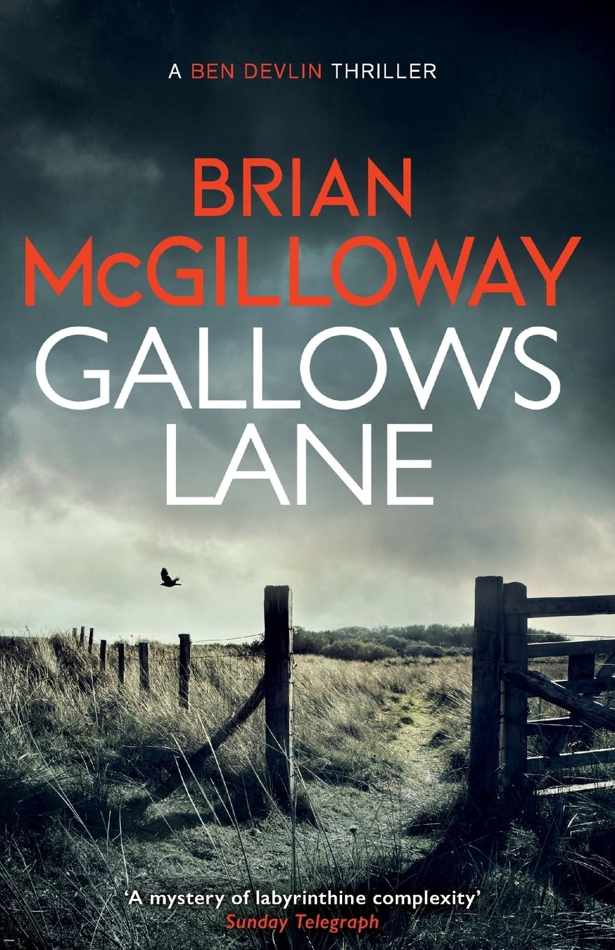 Gallows Lane by Brian McGilloway PAPERBACK 9781472133328