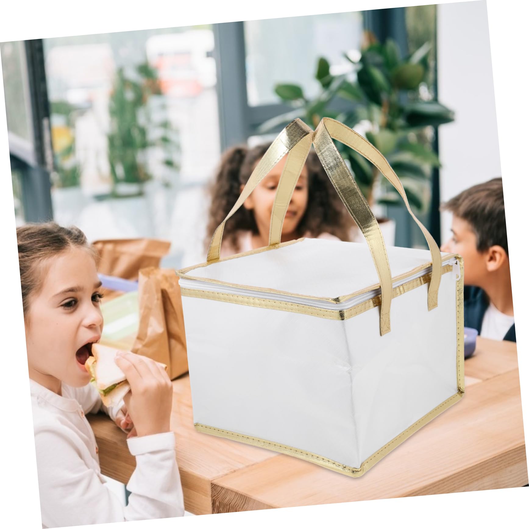 HOMOCONO 2 Pcs Thermal Bags for Cold Food Insulated Pizza Bag Lightweight Portable Handle