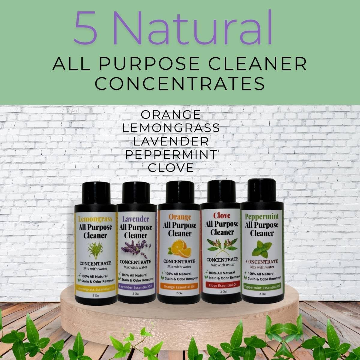 Eco-Mist TSA-Compliant All-Purpose Cleaner (Peppermint & Tea Tree) view 3