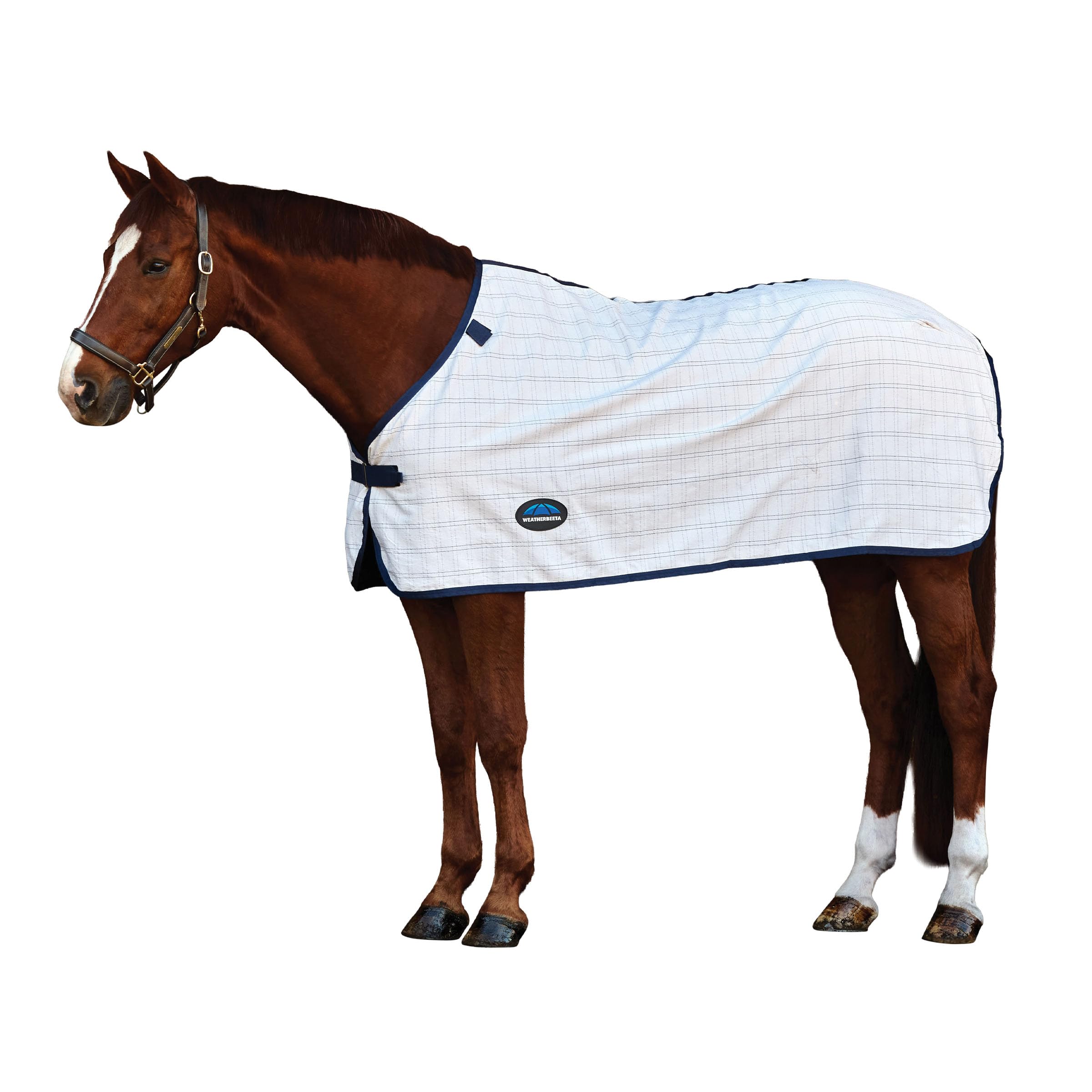 WeatherBeeta ComFiTec Cotton Sheet Liner, White/Navy, 4'0