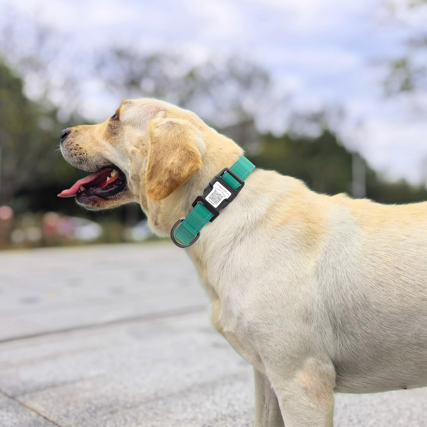 Hundehalsband Mit QR-Code & AirTag-Halterung – Reflektierend, Weich Gepolstert, Verstellbar (Rosa, XS)