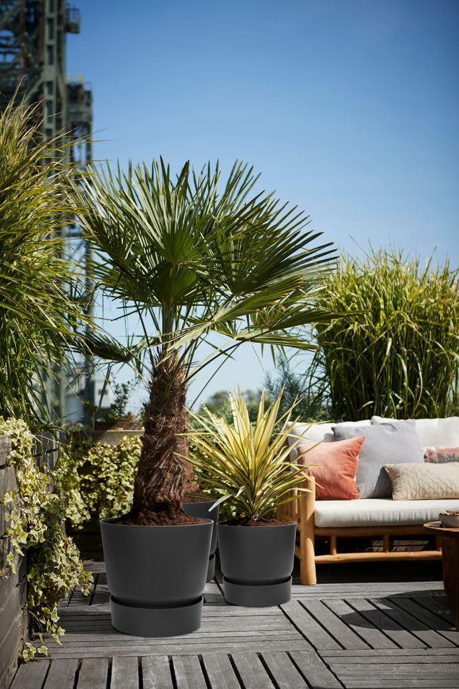 Elho Greenville Ronde 30 | Lot de 2 Pot de Fleur - Living Noir