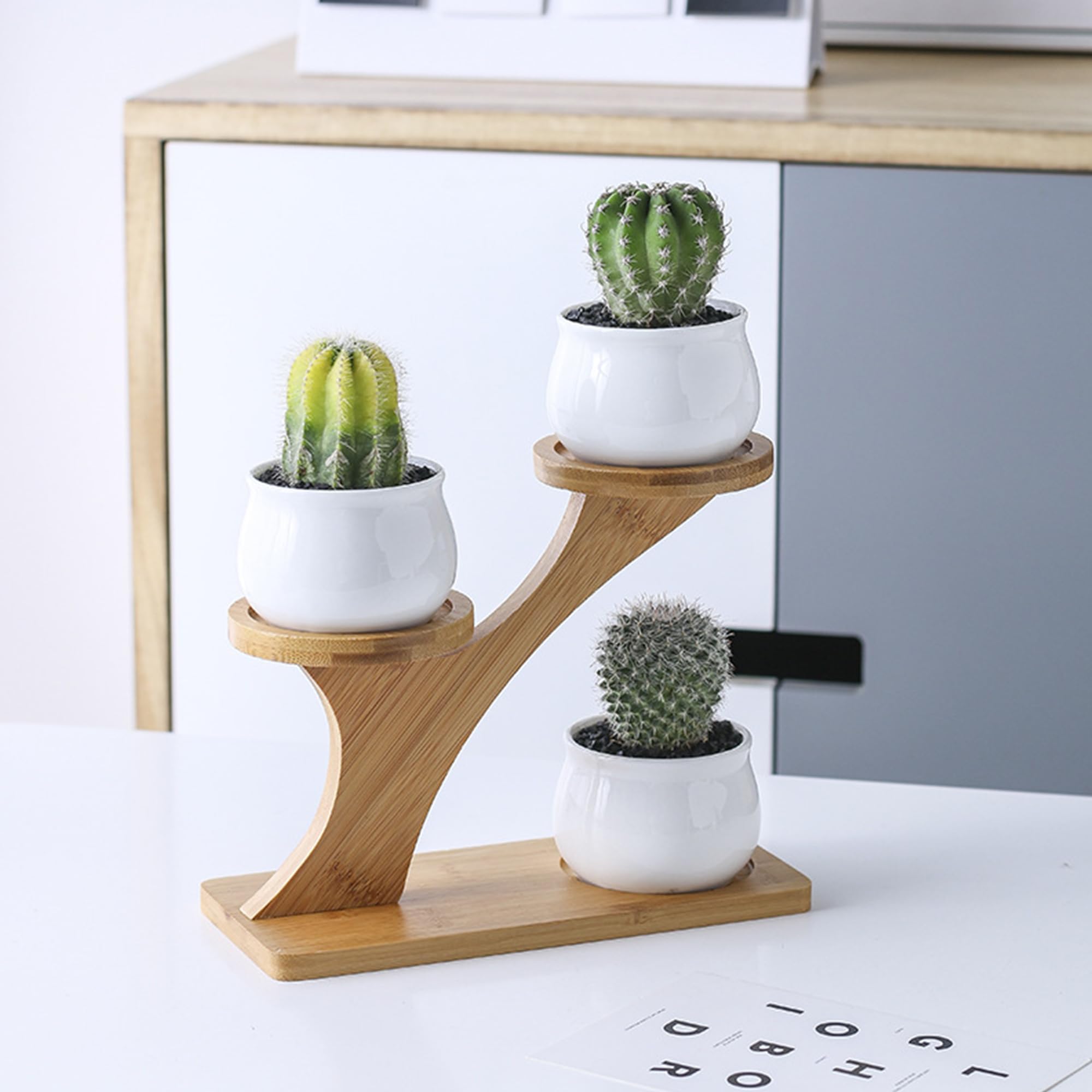 Vaso in Ceramica TALAVERA per Piante Grasse, Cactus, Bonsai, Contenitore Decorativo per Piante da Interno