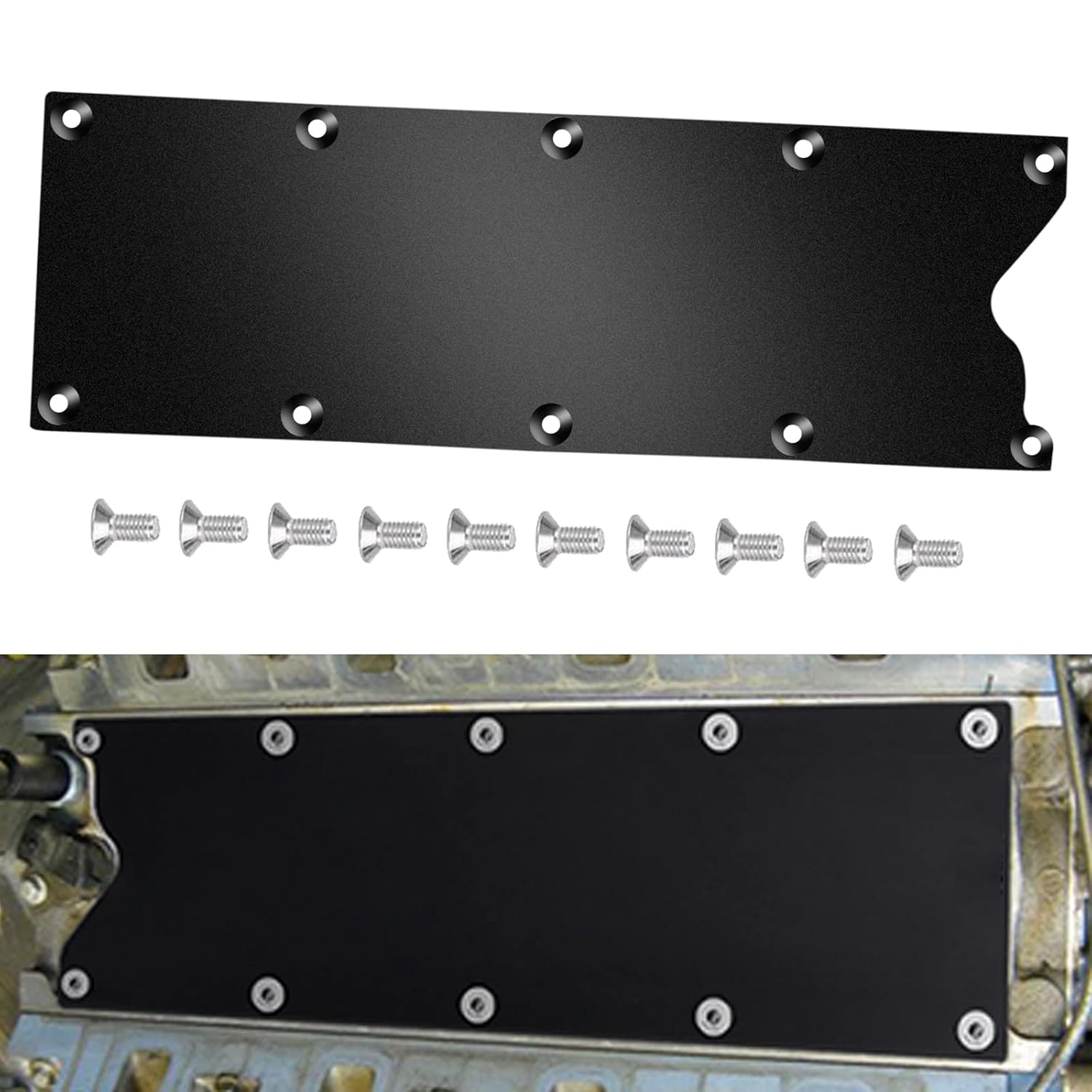 LS Gen 3 Valley Pan Cover Plate Endxedo Low Profile Custom