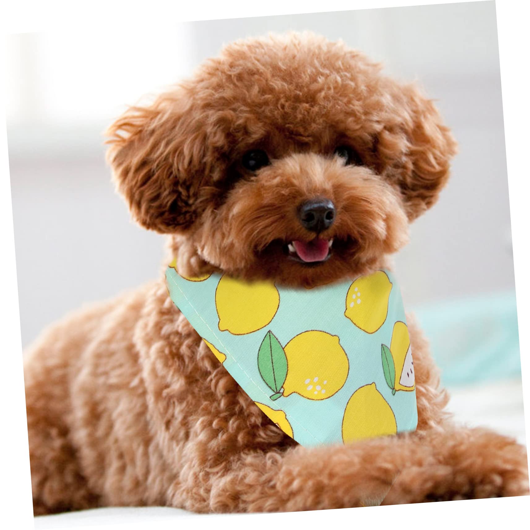 INOOMP 15pièces Bandanas Décoratifs pour Chiens Écharpes Résistantes pour Animaux De Compagnie Accessoires Et pour Et Sorties