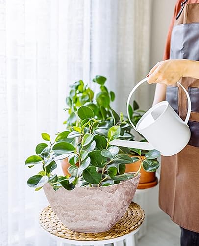 Miniatura 26 de LaDoVita Macetas con agujeros de drenaje, macetas grandes de 12 pulgadas para plantas de interior, macetas de plástico para exteriores, juego de 2