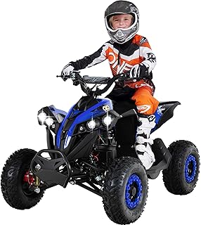 Actionbikes Motors Kinder Quad Elektro ATV Reneblade | 𝟒𝟖 Volt 𝟭𝟬𝟬𝟬 Watt Motor bis 𝟐𝟒 km/h - Kinderquad - Pocket Quad - Miniquad - Safety Fußschalter - Für Kinder ab 8 Jahren (Schwarz/Blau)