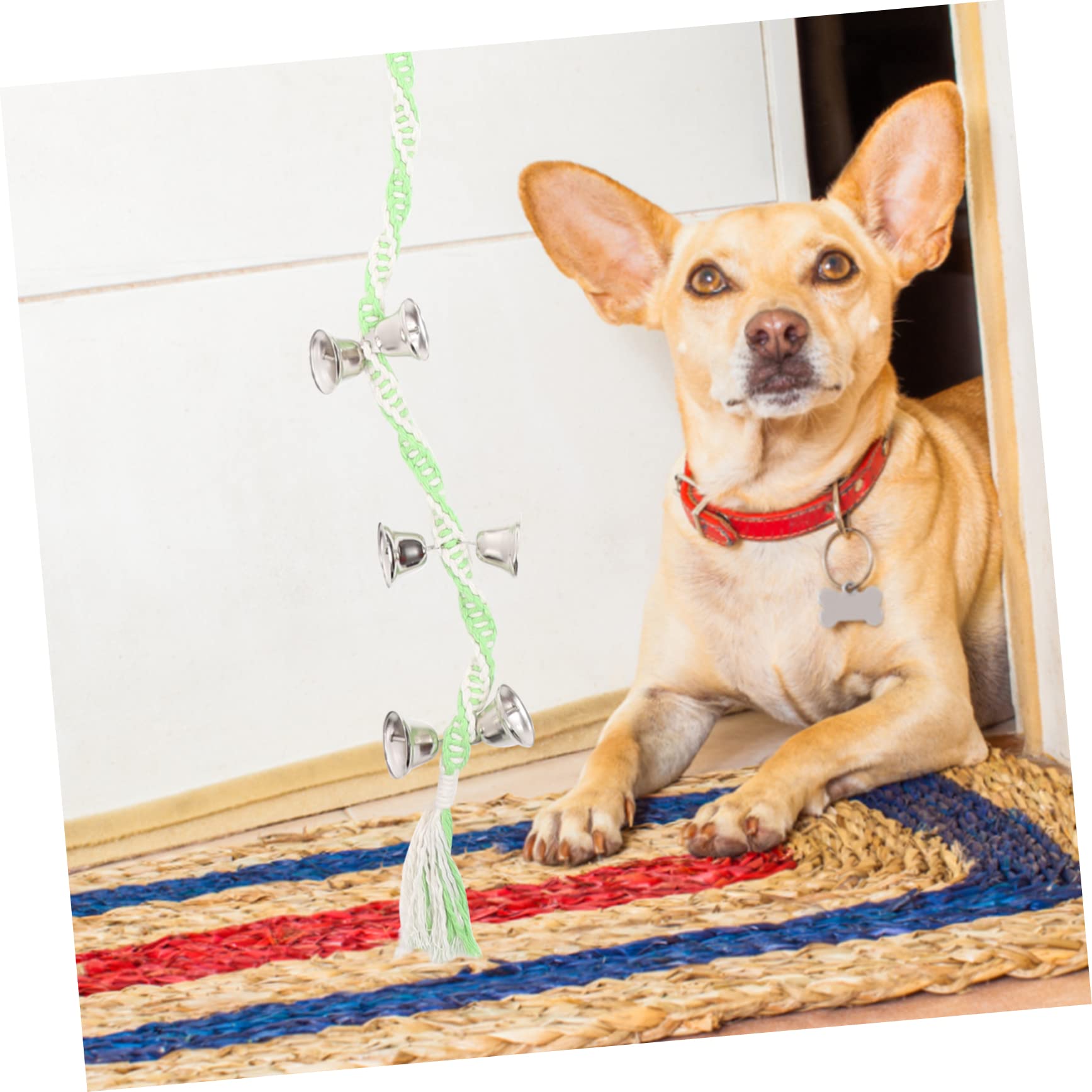 Toddmomy Handwoven Dog Doorbell Training Bell for Pets Professional Pet Rope for Dog Training and Communication