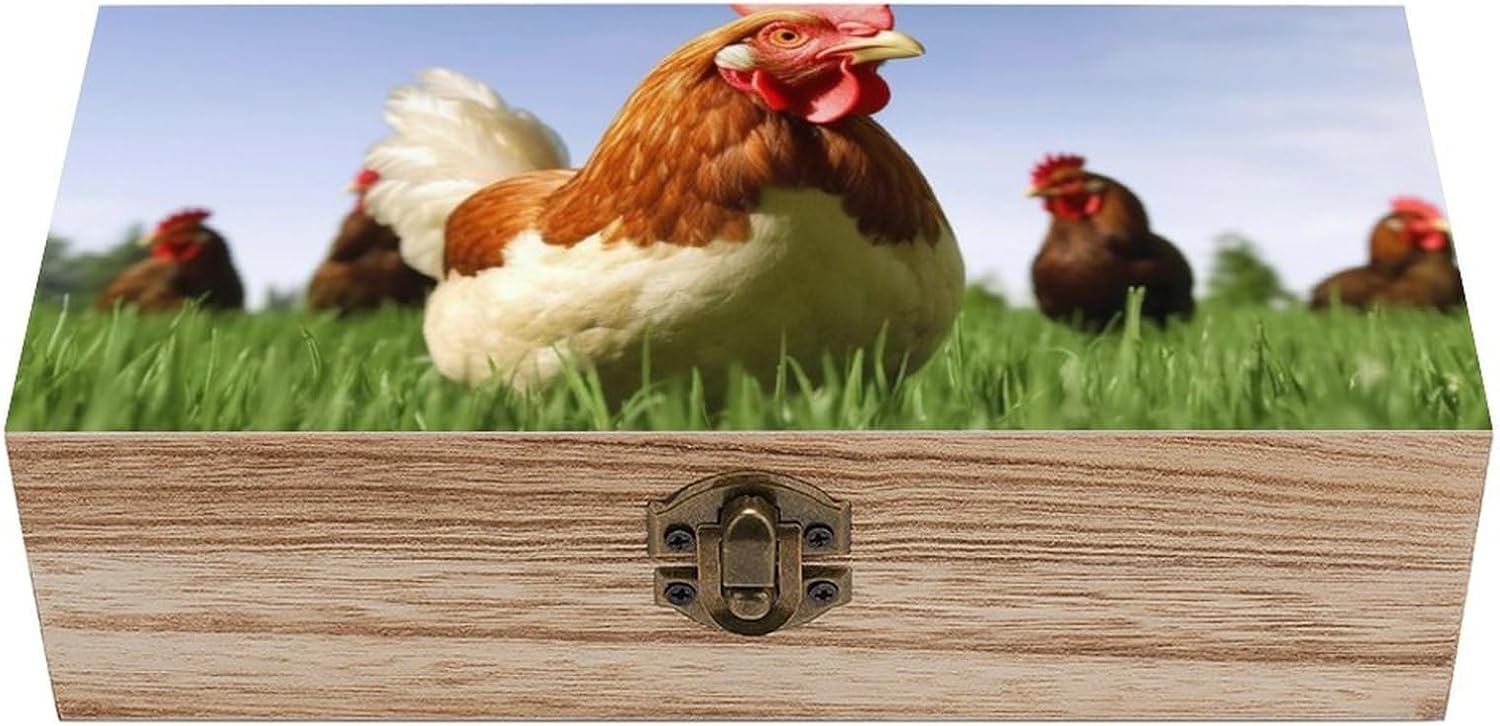 Wooden Storage Box with Lid And Front Clasp Jewelry Keepsake Box Memory Box