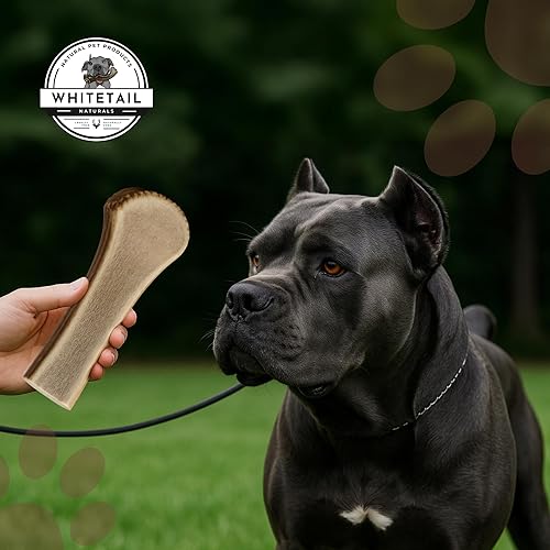 Miniatura 6 de WhiteTail Naturals Paquete de 2 cuernos de alce divididos extra grandes para perros grandes (XL) cuernos masticables para perros  Desechado