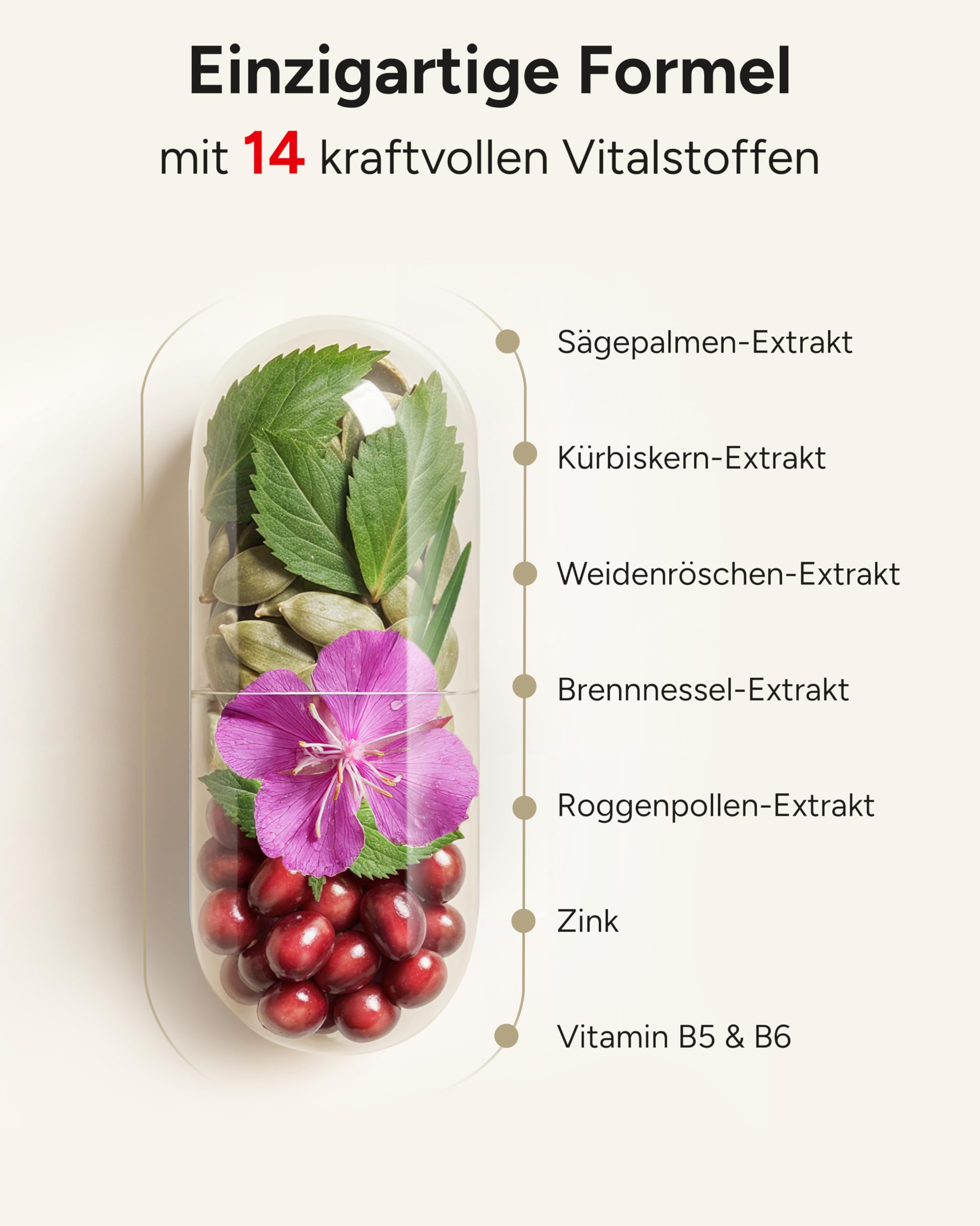 14-fach Komplex! PROSTA PLUS mit Weidenröschen Roggenpollen Granatapfel Sägepalme Kürbiskern Brennnessel - Prosta Kapseln hochdosiert - 3 Monatsvorrat