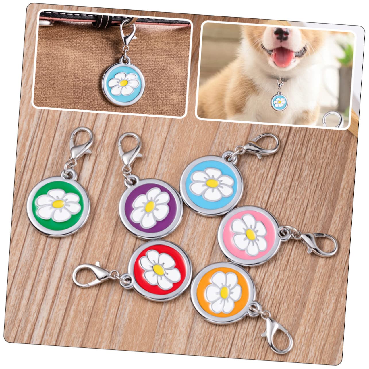 Toyvian 5 Set Targhetta Identificativa Per Animali Domestici Medagliette Personalizzabili Per Collare Accessori Decorativi Per Cane E Design E Vivaci 5 Pezzi*5