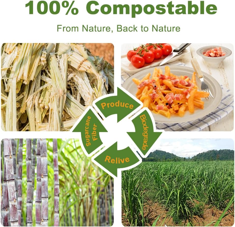 75 Pcs Disposable Paper Plates and Bowls Bulk, 25 Pack Compostable Paper Plates and Bowls Dinnerware Set, Include 7 Inch & 9 Inch Plate, 12 Oz Biodegradable Bowl for Birthday Party Dinner Camping - Image 4