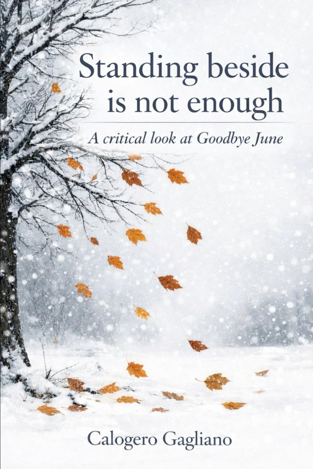 Standing beside is not enough: A critical look at Goodbye June