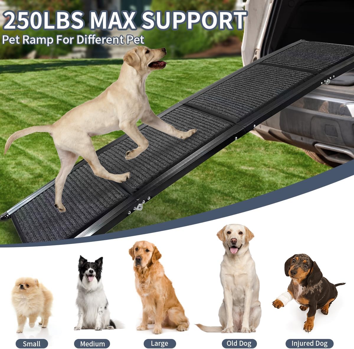 Extra Wide Dog Ramp for Large Dogs, 65" Foldable Aluminum Portable Pet Ramp with Non-Slip Surface for SUVs, Trucks and High Beds up to 250lbs