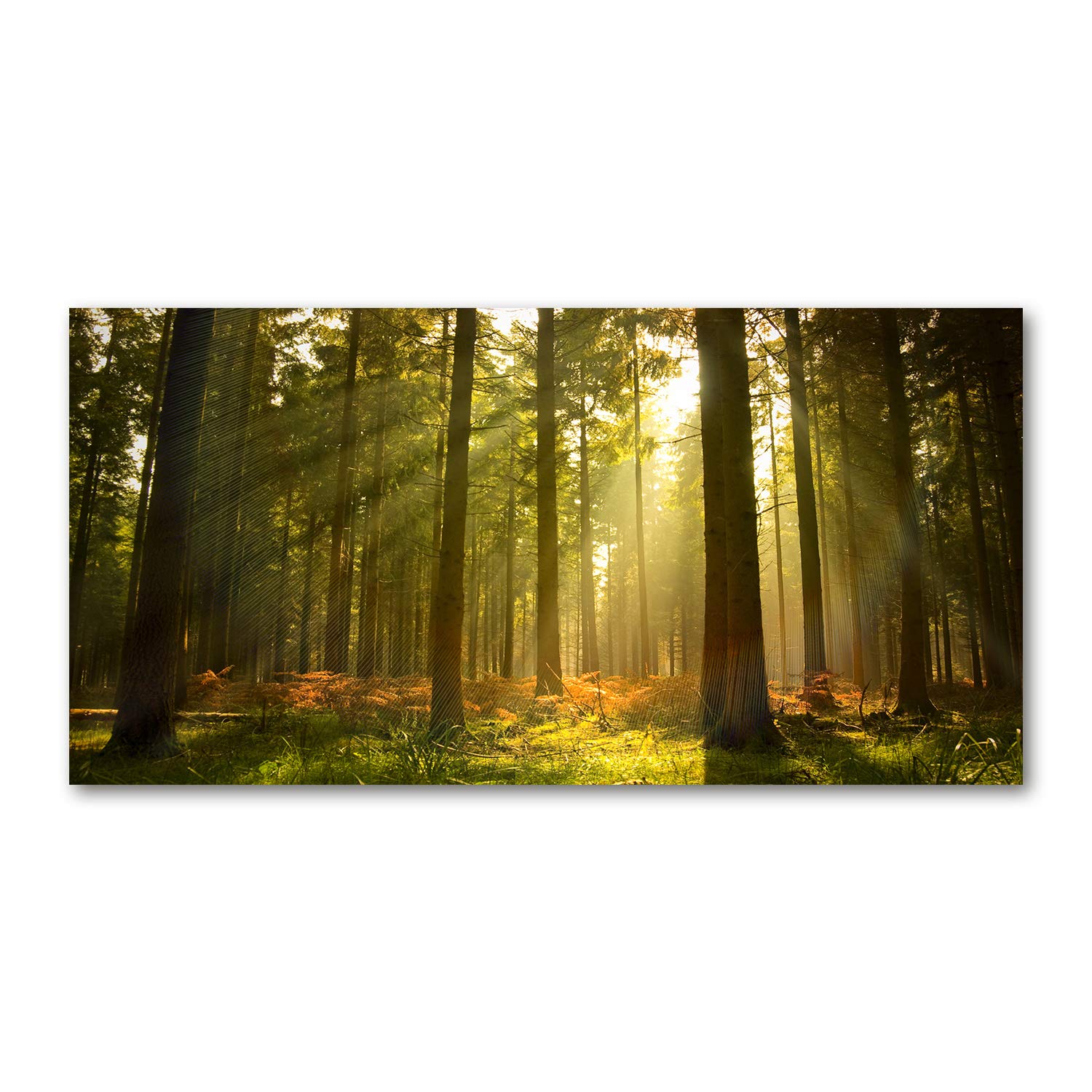 Tulup Obraz na płótnie - 120x60cm - Wydruk na Ścianę do Salonu Kuchni Kanwa Canvas Zdjęcie - Las w słońcu