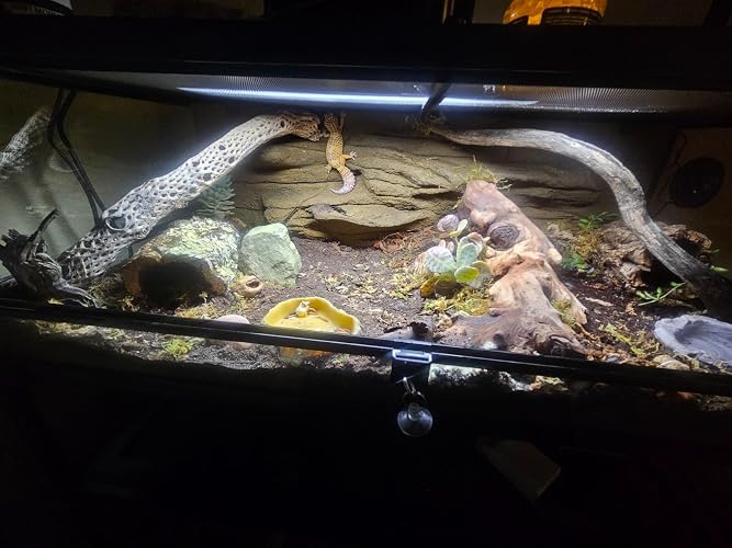 Review Image by DIY Mom
