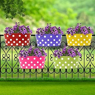 TrustBasket Oval Railing Planter – Premium Anti-Rust Hanging Pots for Plants | Stylish Hanging Planters for Balcony | Indo... Price In India