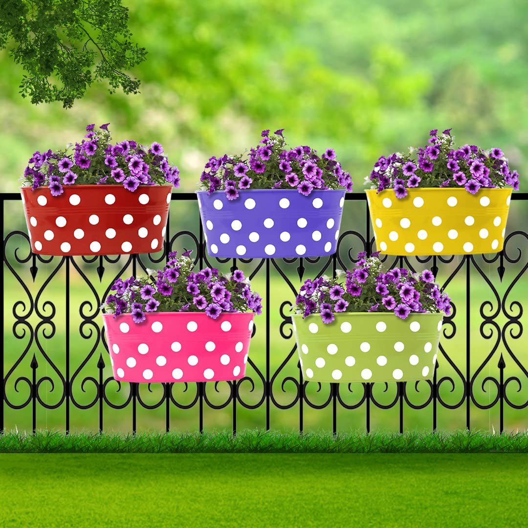 TrustBasket Oval Railing Planter – Premium Anti-Rust Hanging Pots for Plants | Stylish Hanging Planters for Balcony | Indo...