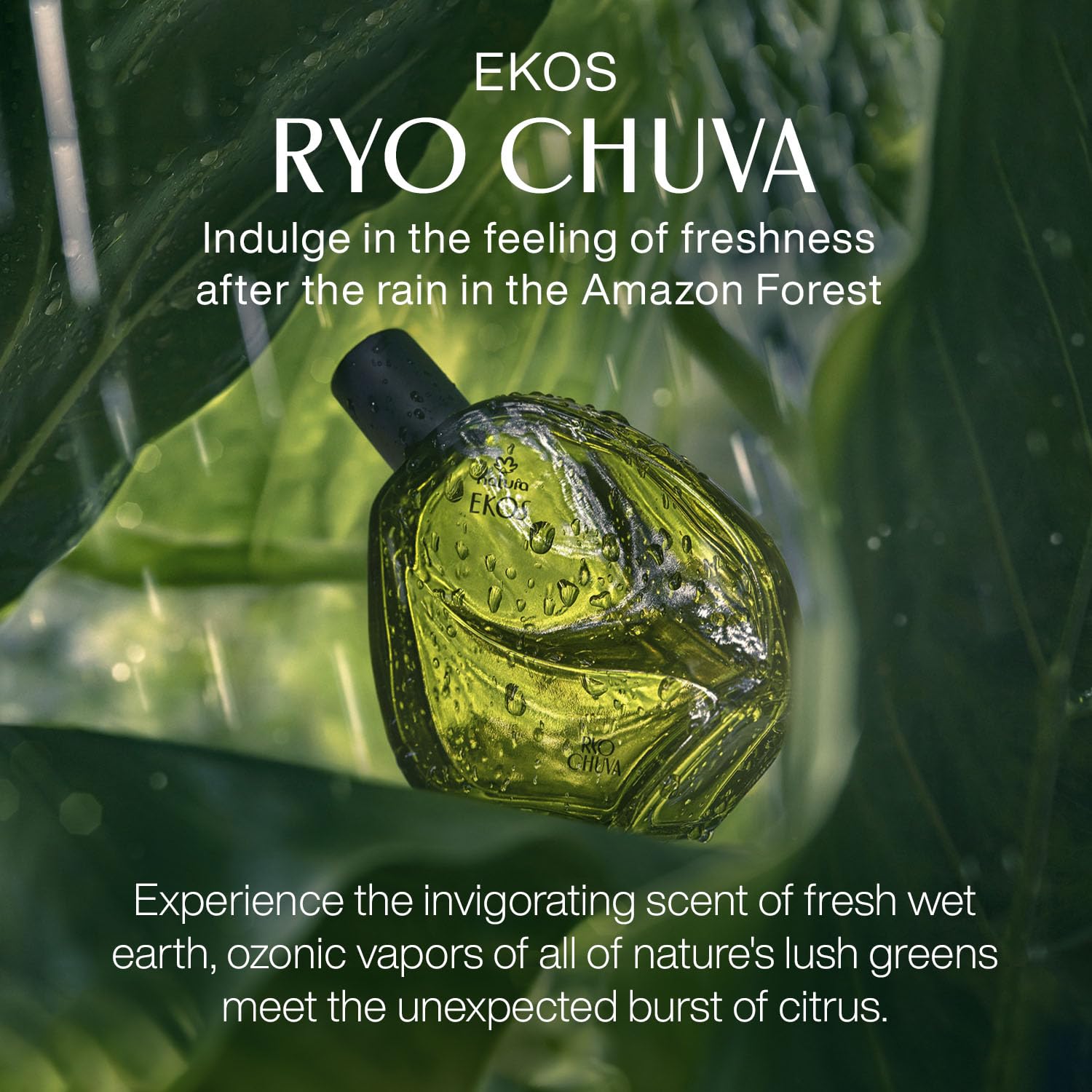 Natura - Ekos Ryo Chuva Eau de Toilette Aquatic Citrus Unisex Fragrance 75ml - Inspired by The Amazonian Rivers - Notes of Mandarin, River & Rain, Jasmine Sambac, Rose, Vetiver & Musk