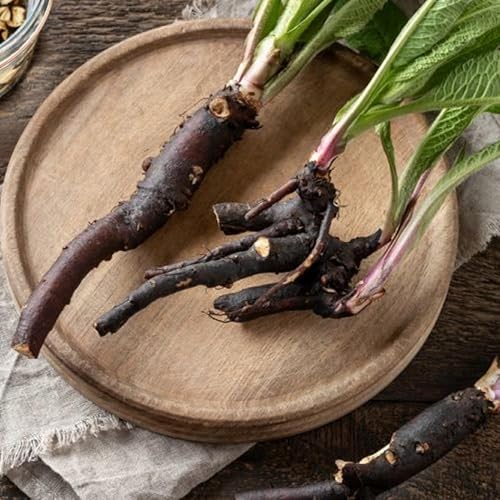 Miniatura 3 de Comfrey Roots for Planting, 15 Live Comfrey Rhizomes, 36 Inches, Perennial Herbs for Growing Outdoor