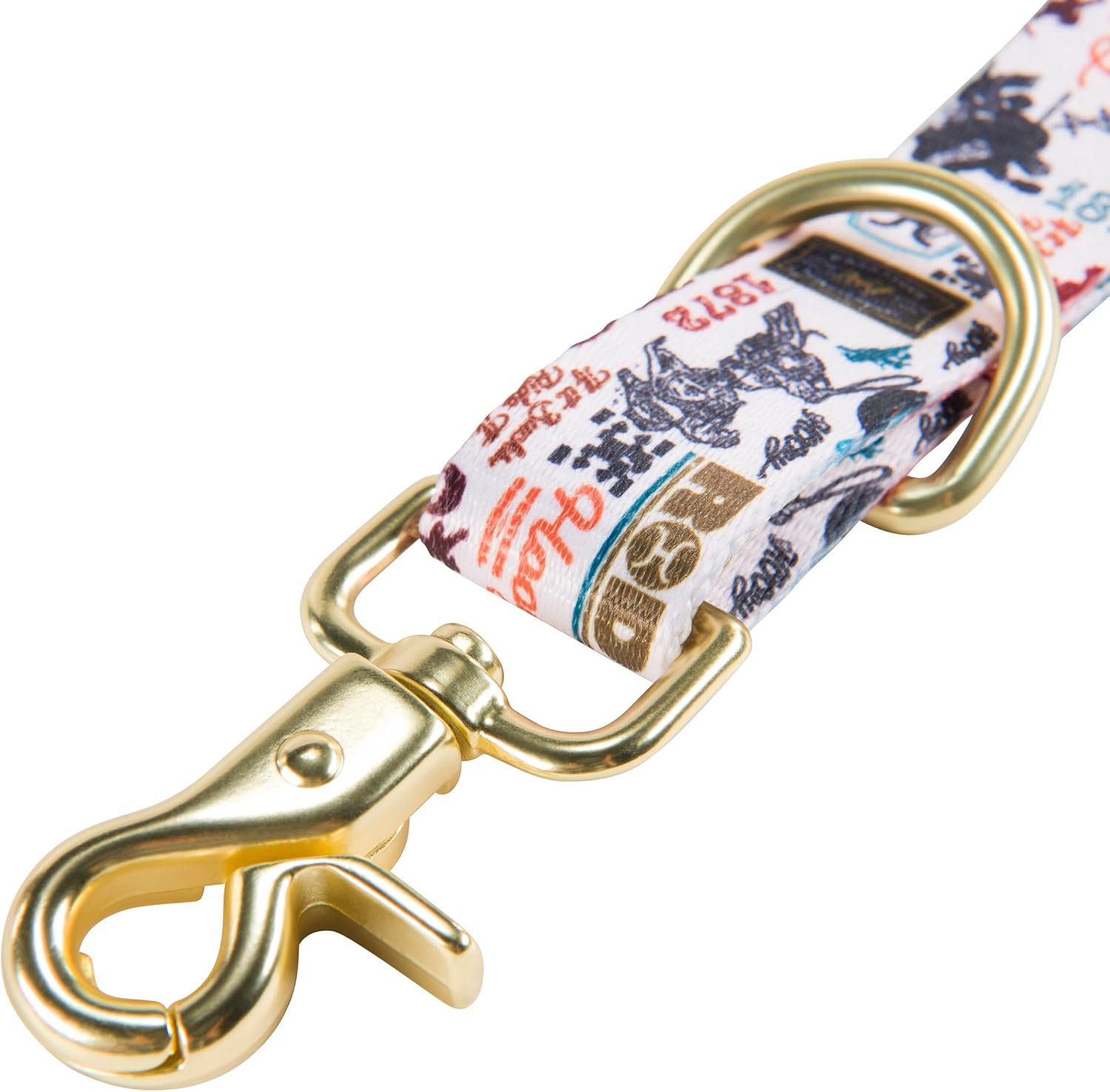 Hooey Nomad Dog Leash, Durable Polyester Webbing Leash with Graphic-Inspired Prints, Hooey Rodeo, 6'
