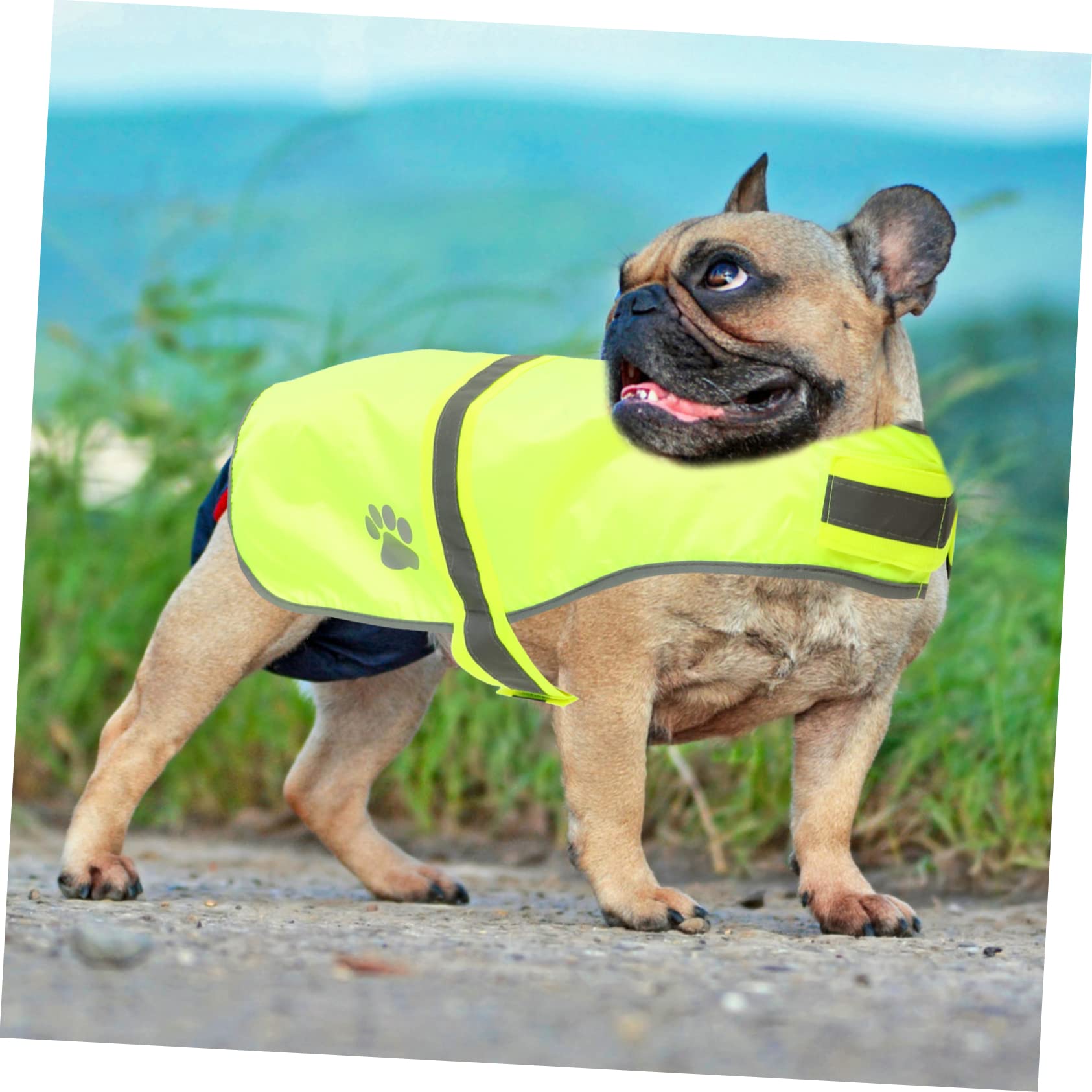 Sosoport 3stücke Reflective Pet Vest Für Hunde Verstellbar Fluoreszierendes Design Für Outdoor-aktivitäten Für Wanderungen Partys Und Fotoshootings