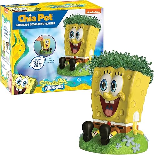 Miniatura 77 de Chia Pet Trolls, Poppy World Tour con paquete de semillas, maceta decorativa de cerámica, fácil de hacer y divertido de cultivar, regalo novedoso
