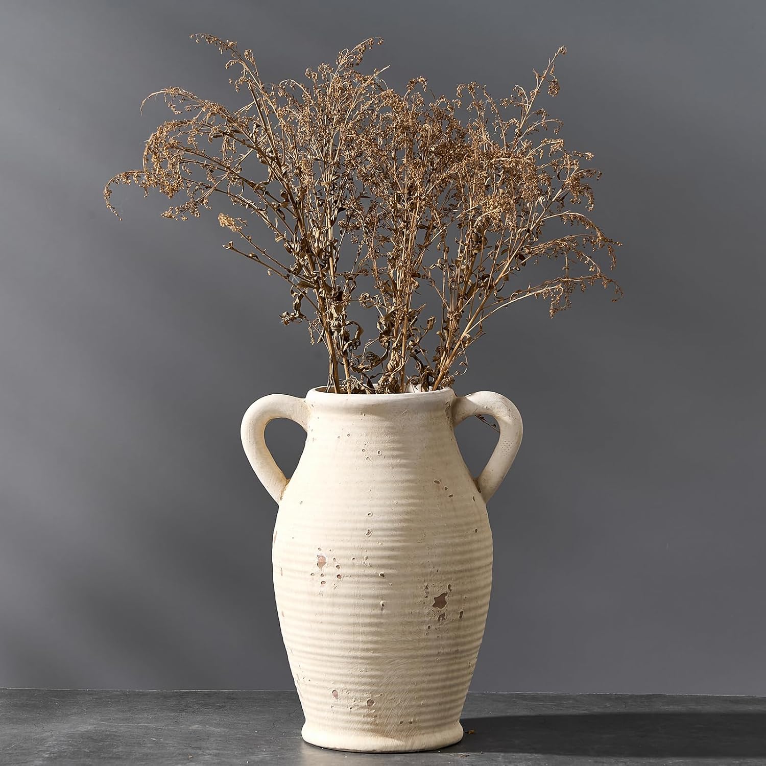 Large Ceramic Rustic Vase with 2 Handles, 9.8 inch Farmhouse Distressed Flower Vase for Home Decor, Living Room, Shelf Decor, Pampas Grass, Enterway, Table Decoration, Gift, White - Image 6