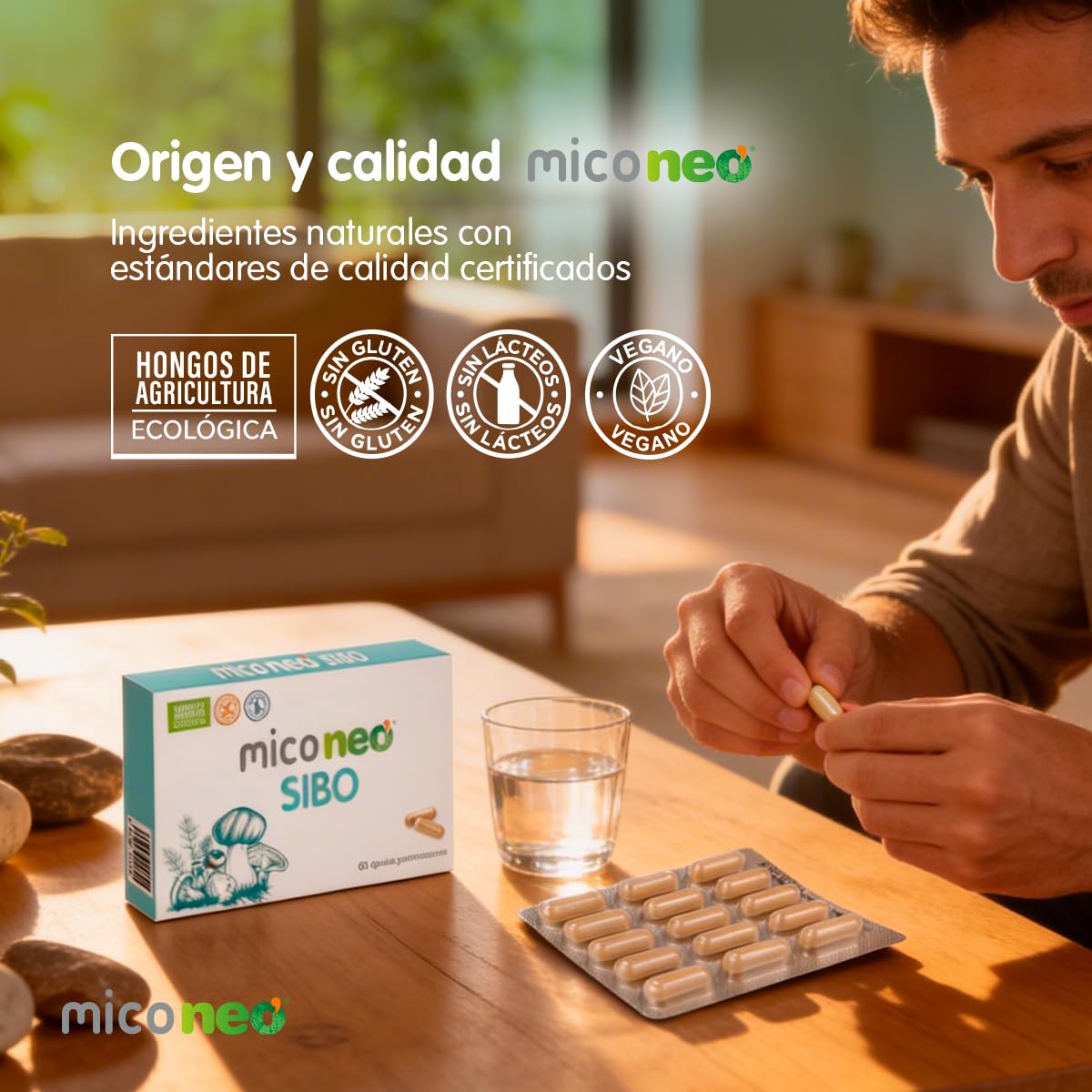 MICO NEO - Complemento Alimenticio con Melena de León y Saccharomyces Boulardi - Probiótico Natural para Afecciones Intestinales