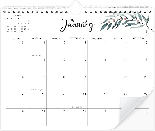 Calendario de pared 2024-2025. Calendario de pared de enero de 2024 a junio de 2025. Calendario mensual de 11.5 x 14 pulgadas, calendario estético