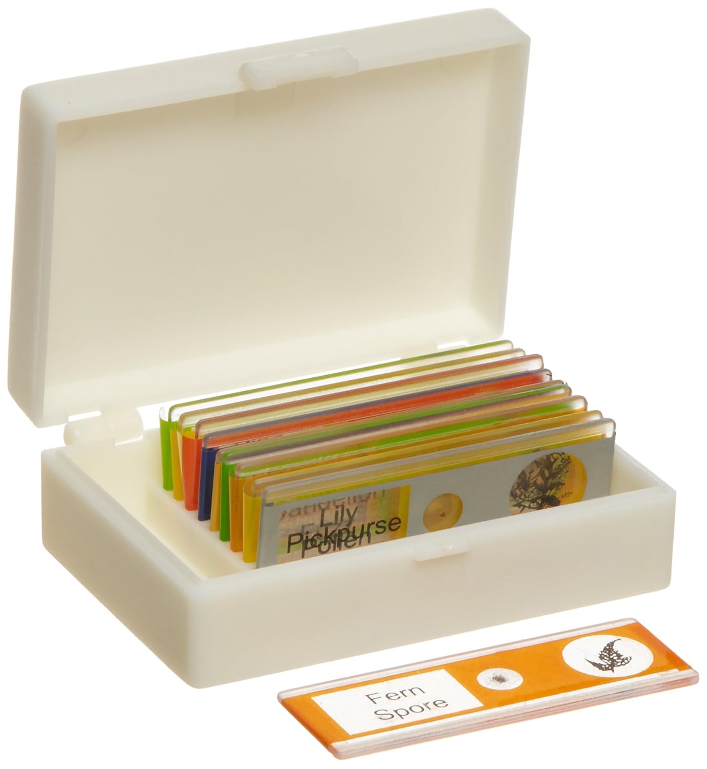 American Educational Plastic Plant Microscope Slide Set in Plastic Storage Box (Bundle of 50)