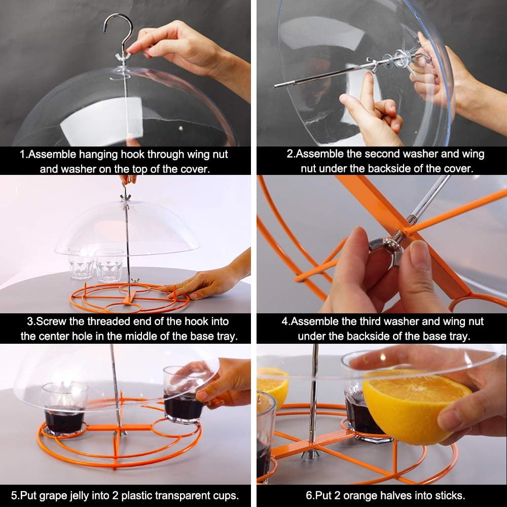 Solution4Patio Baltimore Oriole Feeder, Orange Halves Fruit & Grape Jelly, and Mealworm for Bluebirds, Weather Guard Squirrel Baffle #G-B312A00-US