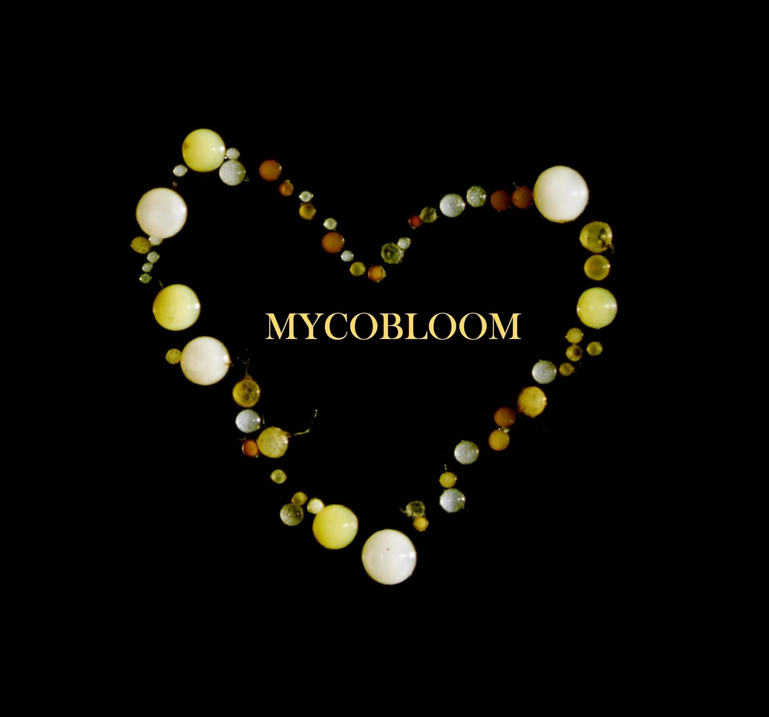 Endo-mycorrhizae (20 lbs)