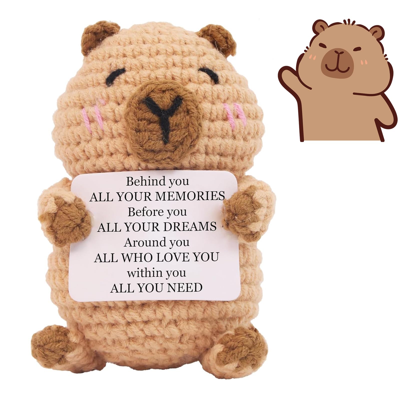 BFSYRR Capybara Plush, Crochet Kit, Emotional Support Gift, Capybara Stuff With Encouraging Card, Emotional Support Potato Pocket Hug For Family Friends As Birthday Gifts