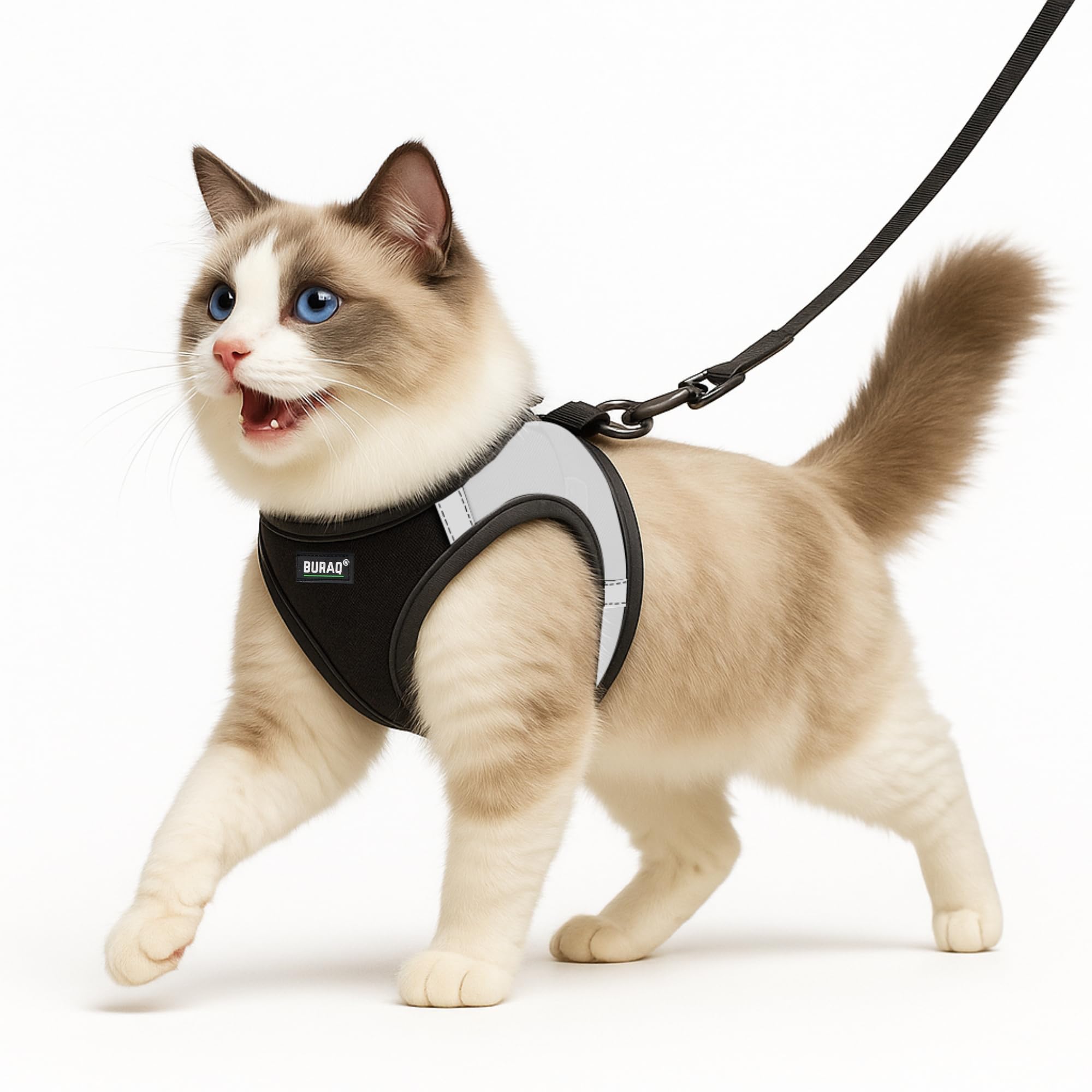 Buraq Cat Harness with Leash for Outdoor, Walking, Escape Proof, Air Mesh Fabric, Easy Control, Adjustable & Durable Cat Leash with Harness for Cats (Black - Silver, M)-image-45
