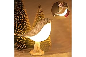 Cute Bird Swing LED Floor Lamp Light