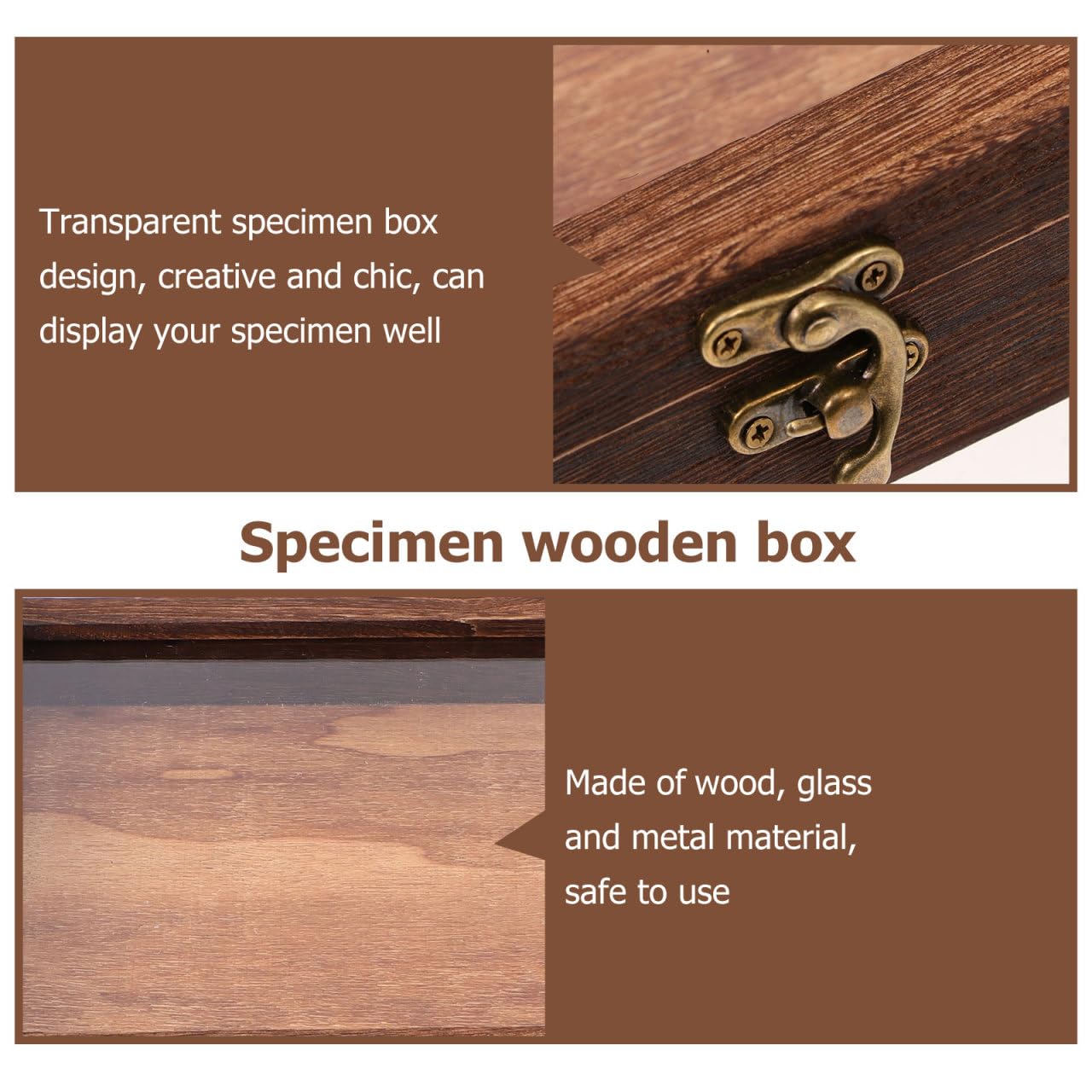 Angoily Wooden Display Case Box Collection Box with Transparent Top Jewellery Display Case Natural Wood with Glass Top Shade Box Kit Entomology Accessories for Collecting Butterfly Samples 31 x 22 x - Image 4