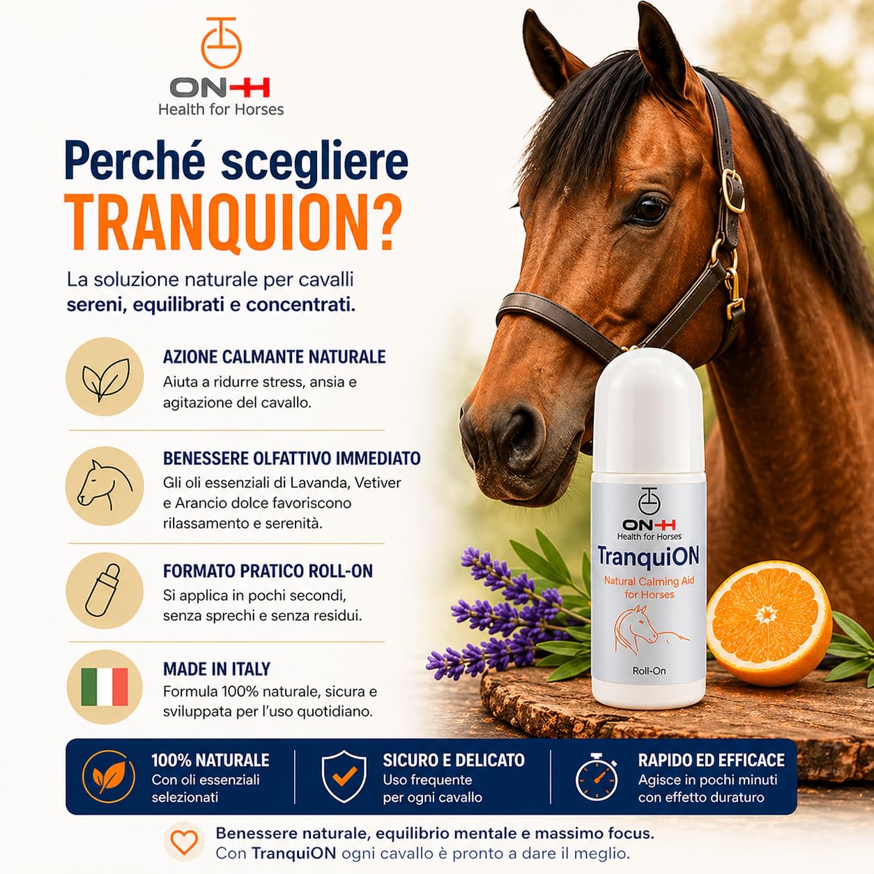 ON-H TranquiON Roll-On per Cavalli | Gel Rilassante Naturale Antistress | Applicazione Localizzata - Ideale Prima di Trasporto, Gara e Lavoro | azione Calmante senza Sedazione | Uso Quotidiano