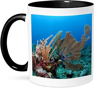3dRose Venus Sea Fan, Hol Chan Marine Reserve, Coral Reef Island, Belize. 11oz Two-Tone Black Mug