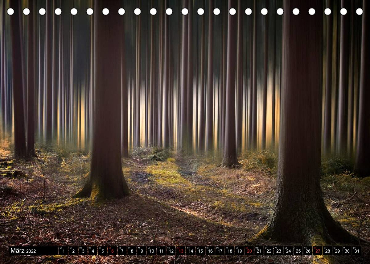 Zauberhafter Sachsenwald (Tischkalender 2022 DIN A5 quer): Impressionen aus dem Sachsenwald (Monatskalender, 14 Seiten ) (CALVENDO Natur)