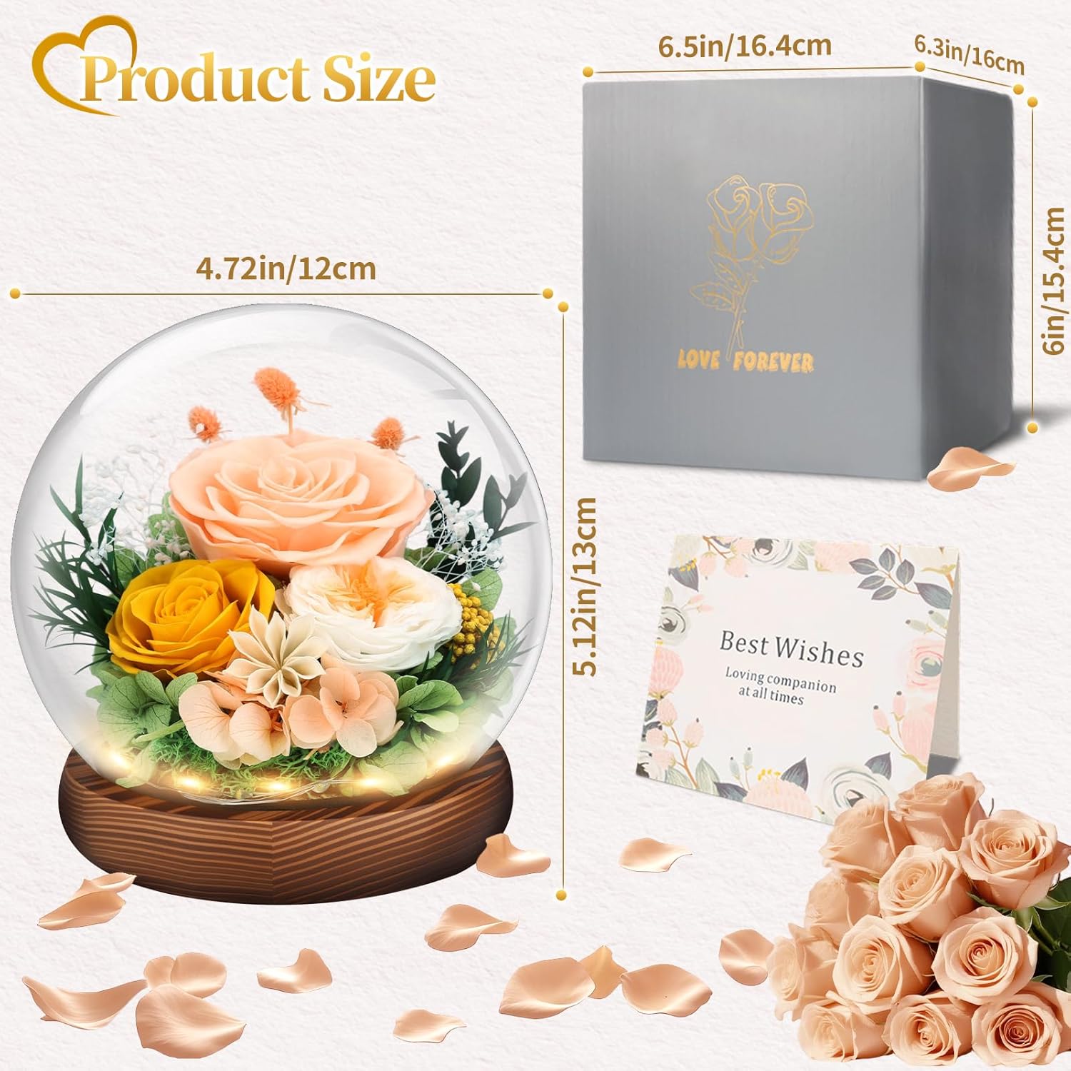 Preserved Flowers Valentines Day Gifts, Gifts for Her, Mom Wife Grandma Girlfriend, Fresh Flowers for Delivery Prime, Real Eternal Rose for Christmas, Birthday, Anniversary, Champagne - Image 4